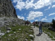 escursione alle cinque torri (30/43)